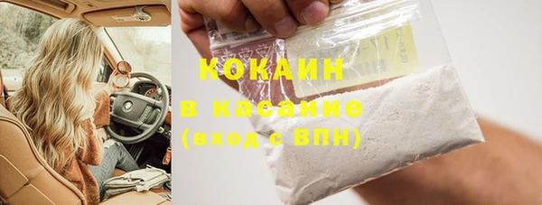 прущие грибы Михайлов