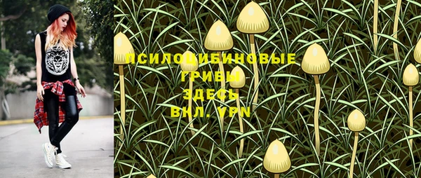 кокаин Белокуриха
